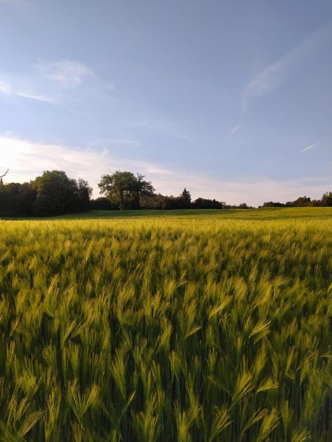 Quiete San Dalmazio Exterior foto